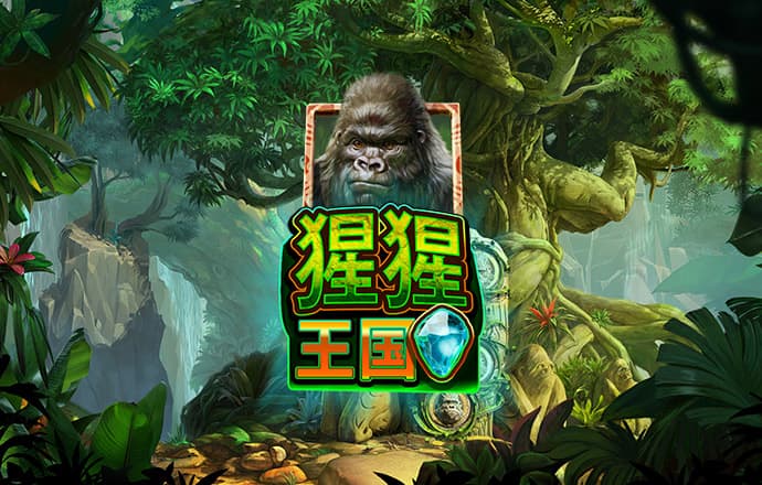 k8凯发国国际入口